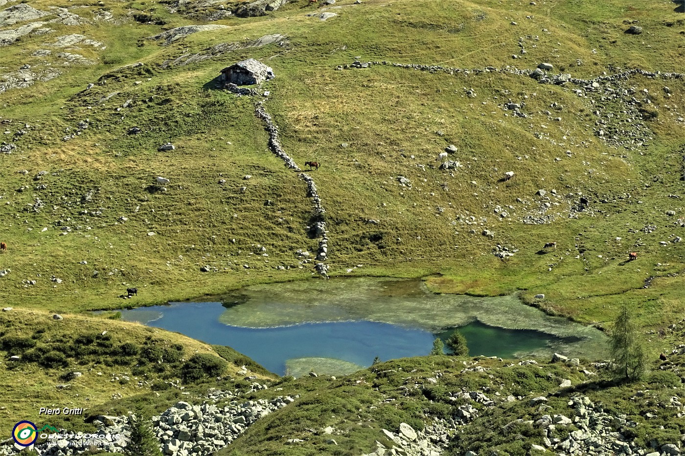 23 Zoom sul Lago Piccolo di Porcile (2000 m).JPG